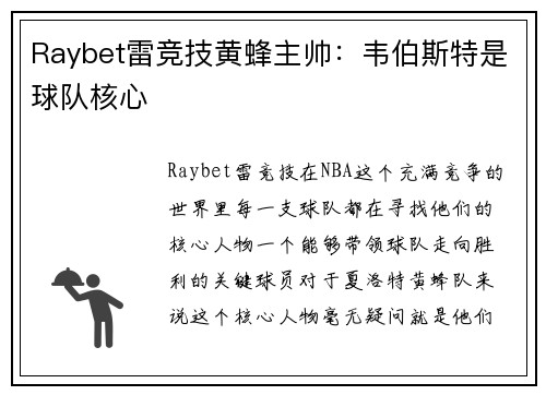 Raybet雷竞技黄蜂主帅：韦伯斯特是球队核心